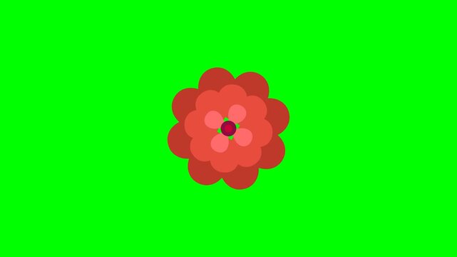 Professional 4K animated rotating simple layered paper cutout rose featuring symmetrical overlapping classic red botanical flat petals isolated on pure chroma key green screen background.