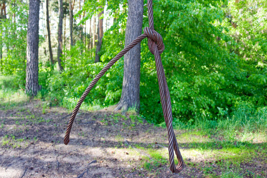 Rusty steel wire rope swing tied with knot hanging in green forest park outdoors for leisure activity fun
