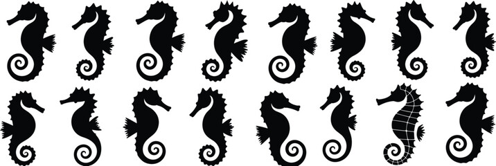 A collection of black silhouettes of seahorses arranged in two rows on a white background, for marine © MDMasud