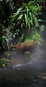 Steaming Hot Spring Pool with Tropical Greenery and Weathered Log