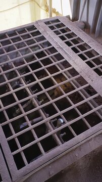 Rotating spiked shafts breaking up clay under a steel grate at a brick factory