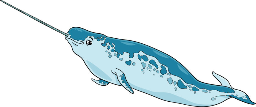 cartoon narwhal sea mammal animal character