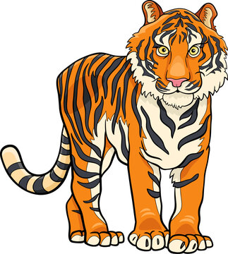 cartoon tiger wild animal character