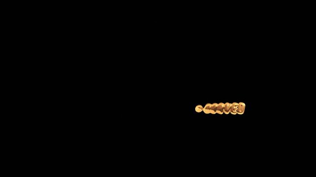 Veterans Day Honoring All Who Served November 11th Golden Text animation 4k.