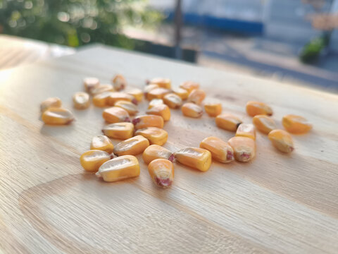Horizontal side-angle macro view of yellow corn grains clustered on a pale timber surface with an out-of-focus background 