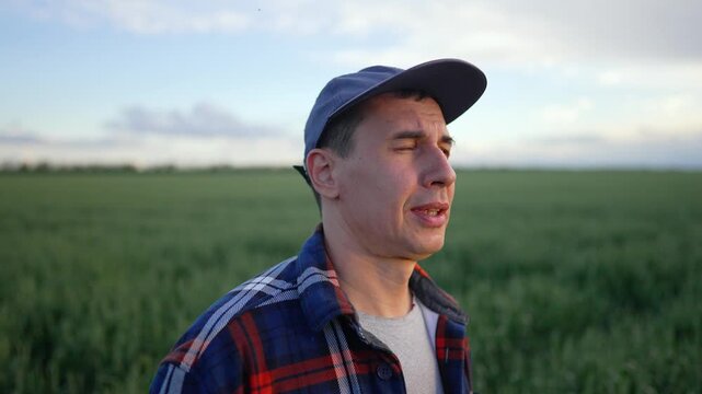 Confident farmer stands in green wheat field at sunset. Man in cap and plaid shirt looks across growing crops. Farmer surveys agricultural field of young grain. Man shields eyes and observes harvest.