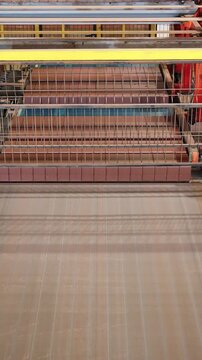 Rows of unfired clay bricks moving along a belt conveyor after cutting at a brick factory