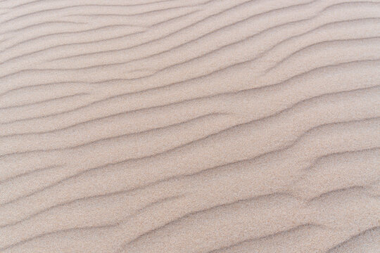 Detailed close-up of fine beach sand shaped by wind into repeating ripples and flowing parallel lines. Minimal natural texture with neutral tones, useful as an abstract background for beach, coastal, 