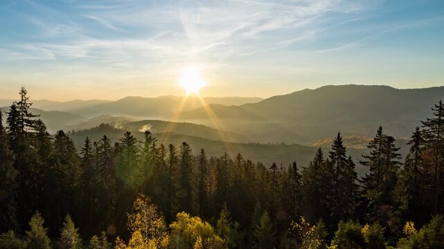 Coniferous forest in highland by hills from day till dusk