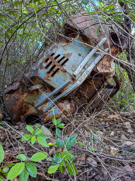 Abandoned rusty vintage car body lying upside down overgrown with vines in forest. Classic car wreck decaying in woodland nature.