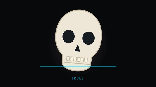 Human Skull Anatomy Animation with Scanning Line on Dark Background for Video Editing and Graphic Works