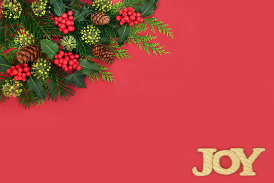 Joy sign, winter natural greenery foliage border. Holly, fir, spruce, ivy and flowers, cedar leaves on red background. Glad tidings design.