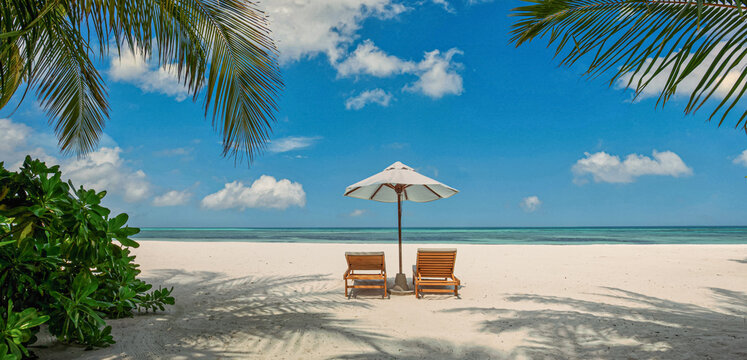Peaceful tropical beach umbrella sunbeds palm tree shadow turquoise sea sky sand sunny summer paradise resort. Perfect summer vacation travel scene. Relaxing luxury coastal holiday island getaway