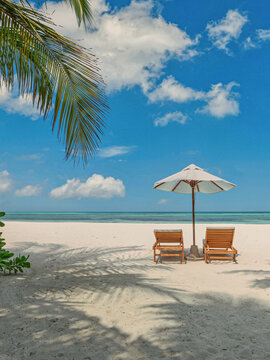Idyllic tropical beach white umbrella sunbeds palm trees ocean sandy shore sunny sky summer paradise. Perfect summer vacation travel scene. Luxury relax couples vertical holiday island wallpaper