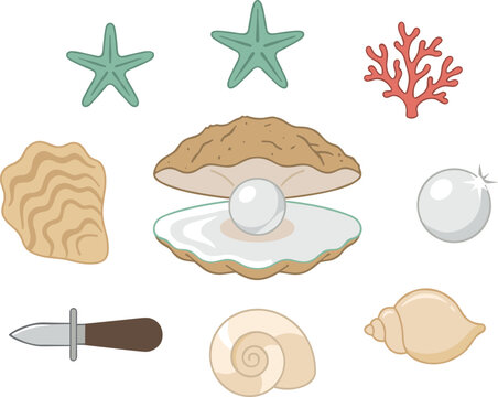 Oyster with pearl vector illustration set including clam shucking knife starfish sea coral and ocean seashells for jewelry and seafood restaurant logo design