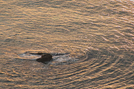 夕陽に照らされる海面の波紋と小さな岩