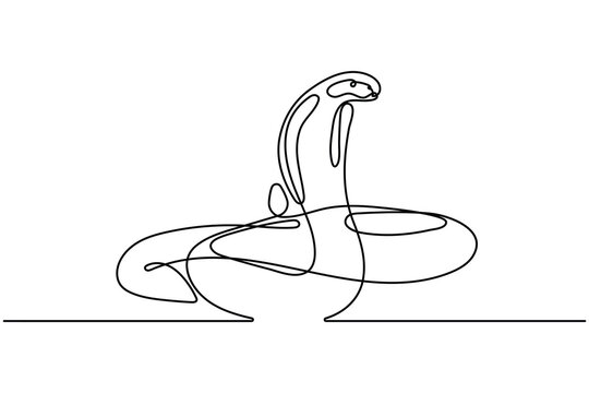 Snake continuous line minimalist animal illustration