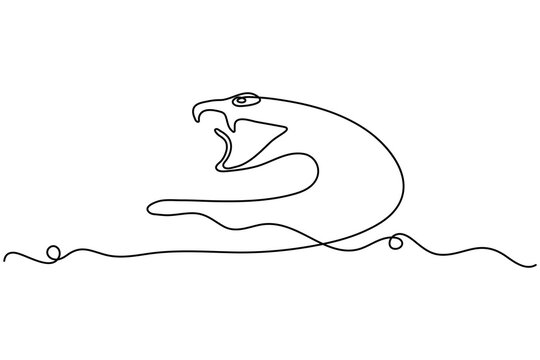 Snake continuous line minimalist animal illustration