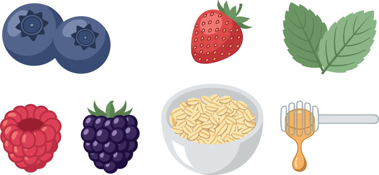 Healthy breakfast vector illustration set with oatmeal bowl mixed berries strawberry blueberry raspberry blackberry honey and mint leaves for organic food design
