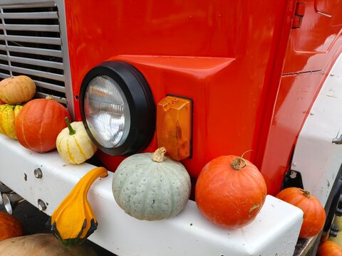 
Autumn Pumpkins and Gourds Arranged on a Red Fire Truck. A decorative arrangement of pumpkins and gourds placed around the front and side of a red vintage fire truck at a pumpkin exhibition. 