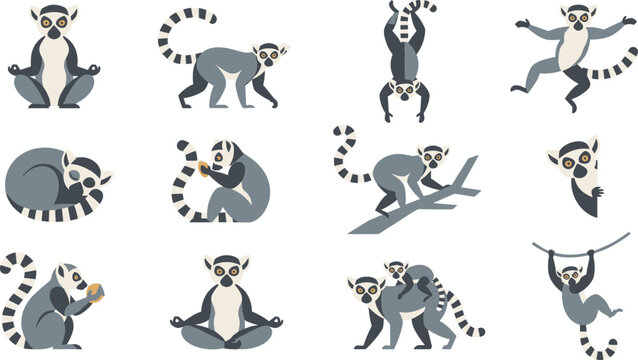 Flat design ring-tailed lemur vector character set featuring cute animals in active poses like meditating, climbing, sleeping, hanging, and carrying babies for modern graphic designs