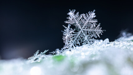 snapshot of a small snowflake taken during a snowfall