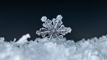 Obraz premium snapshot of a small snowflake taken during a snowfall