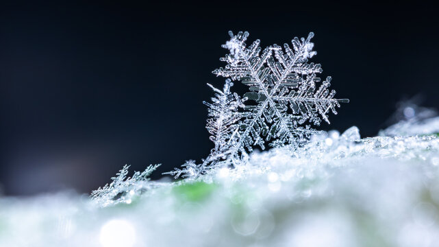 snapshot of a small snowflake taken during a snowfall