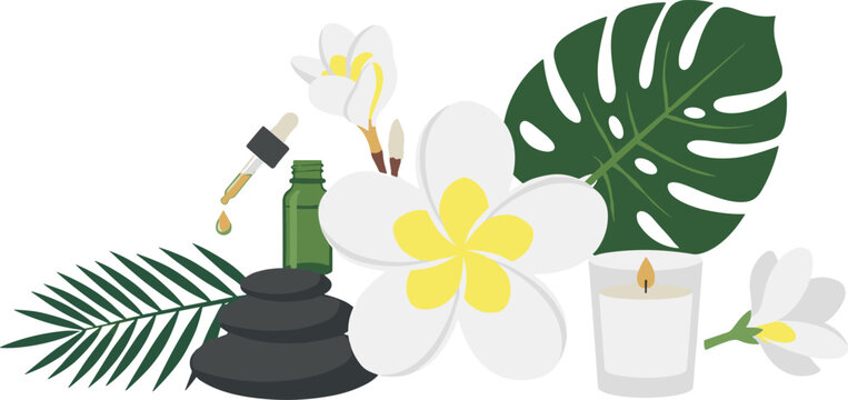 Spa and wellness vector illustration with frangipani flowers massage stones essential oil bottle candle and tropical leaves for salon branding banner design