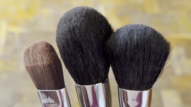 Close-up of black and brown makeup brushes standing in a row. beauty care, cosmetics tools, makeup application.