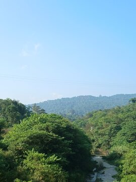 Forest in Hills a assume the view in Himalayas                                                      