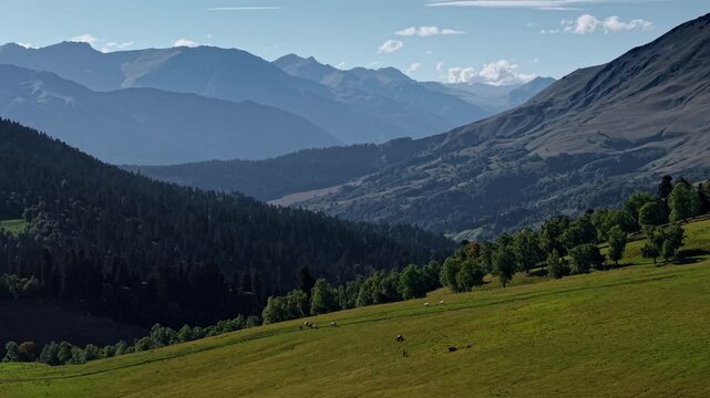 Horses grazing on a green mountain slope