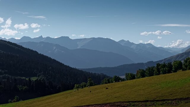 Horses grazing on a grassy mountain slope