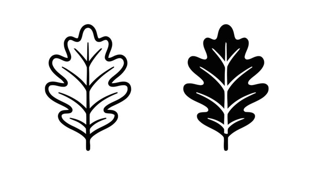 Vector illustration of oak leaf icons set on a transparent background