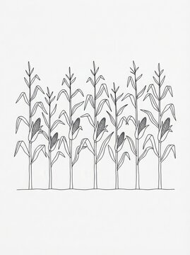 Minimalist continuous line drawing of a field of corn stalks with agriculture cultivation illustration botanical