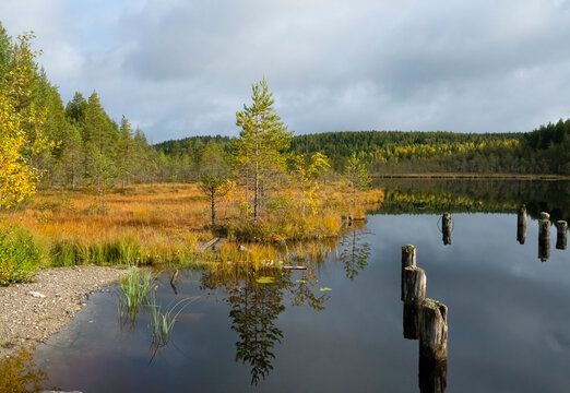 A calm lake among golden autumn trees covered with clouds