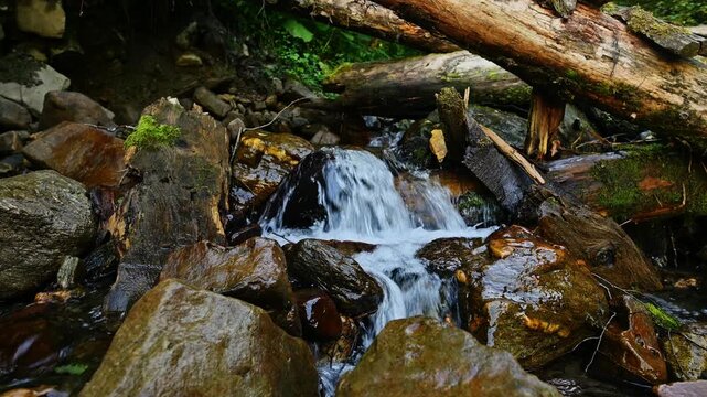 Small mountain stream flowing over rocks and fallen logs