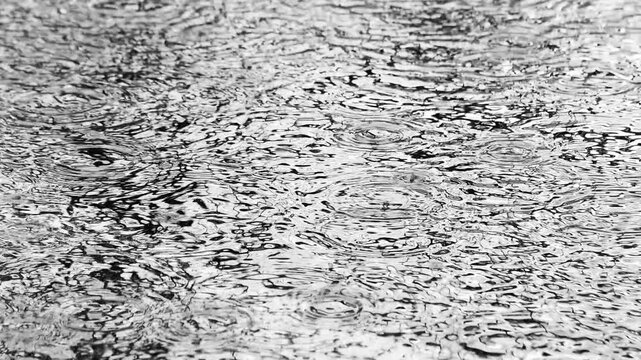 水たまりに雨粒が落ちて波紋が広がる様子　モノクロ　スローモーション