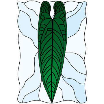 Anthurium warocqueanum queen leaf stained glass pattern vector illustration, tropical botanical tiffany vitrage style window design template for mosaic and glass craft
