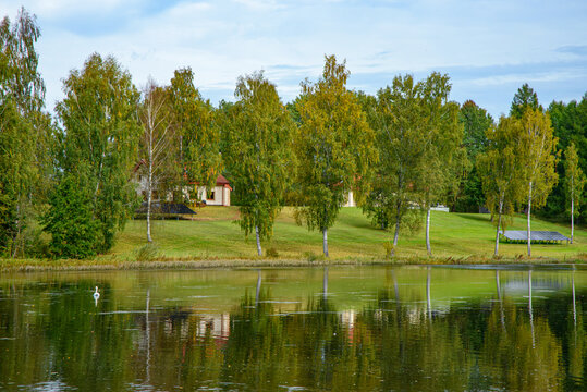 A single swan swims on a calm lake, surrounded by autumn trees, a grassy shore, and a house reflected in the water.