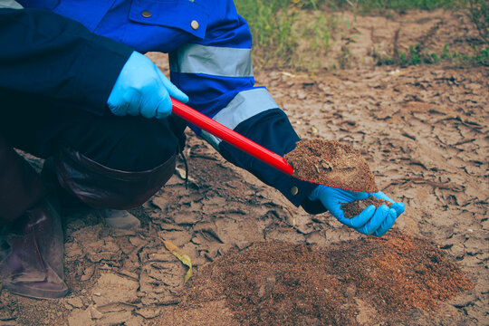 Environmental personnel conducting soil quality assessment through field sampling and scientific analysis.