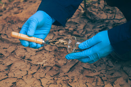 Environmental technician performing soil sampling to analyze contamination and land quality.