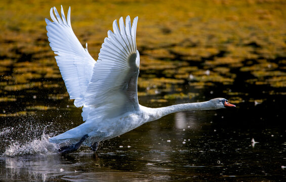 Taking off