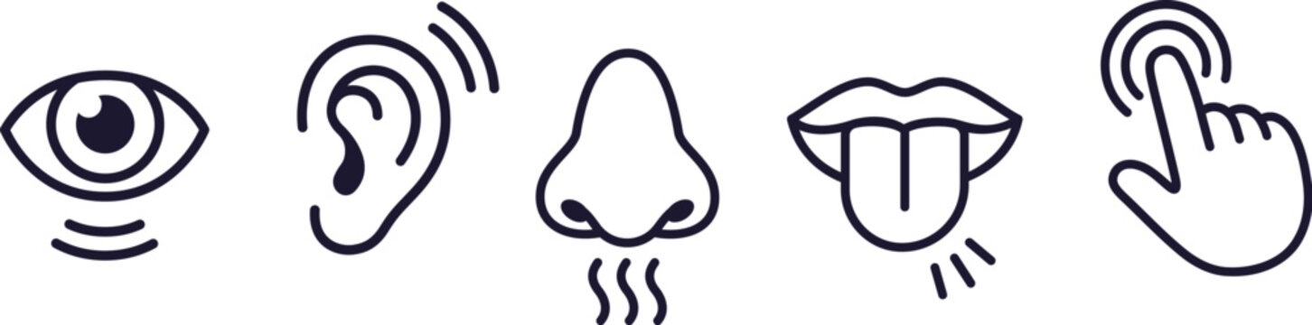 Set of line icons of the five human senses: sight, smell, hearing, touch, taste. Simple cartoon outline vector illustration.
