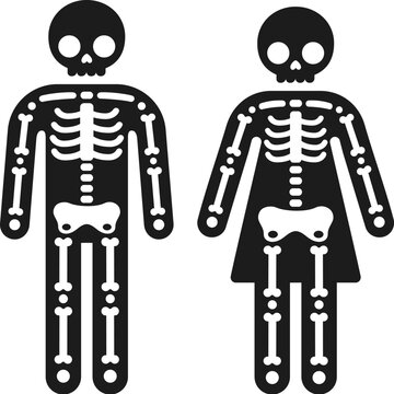 Simple cartoon male and female skeleton icon, wc gender symbols. Man and woman x-ray vector illustration.