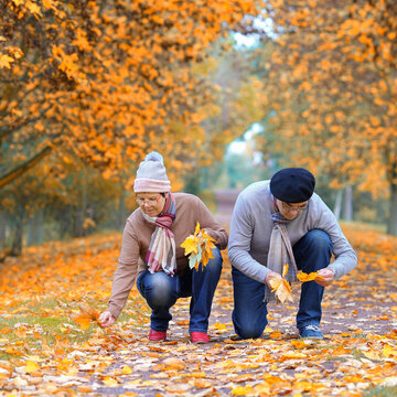 Carefree Couple Laughing Together During a Peaceful Autumn Stroll