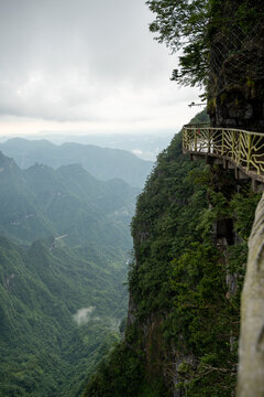 A precarious pedestrian path built directly into the side of a steep karst mountain, offering a thrilling view over a deep green valley in China.