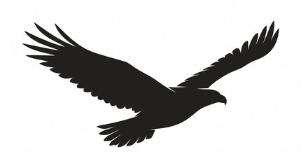 Obraz premium Silhouette of a Soaring Eagle: A powerful eagle in mid-flight, its wings outstretched against a clean background, embodies freedom and majestic flight.