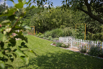 Allotment garden with green grass and natural surroundings on a sunny day. Ogród działkowy ROD z zieloną trawą i przyrodą w słoneczny dzień. © jarizPJ
