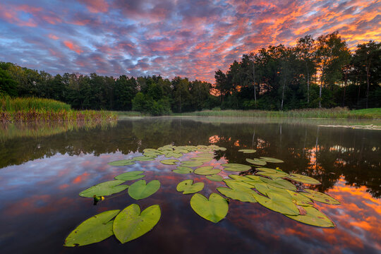 Beautiful summer sunset over the lake